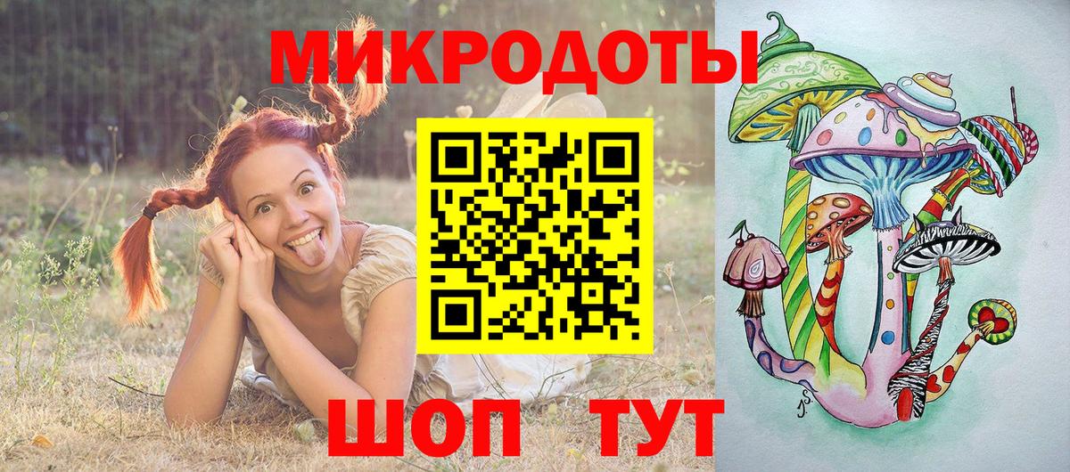 Галлюциногенные грибы Psilocybine cubensis Полысаево