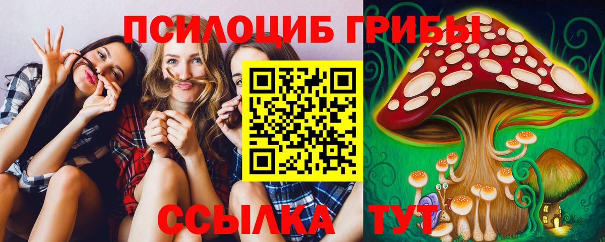 Псилоцибиновые грибы ЛСД  Галлюциногенные грибы Cubensis  Полысаево  Вход с VPN 